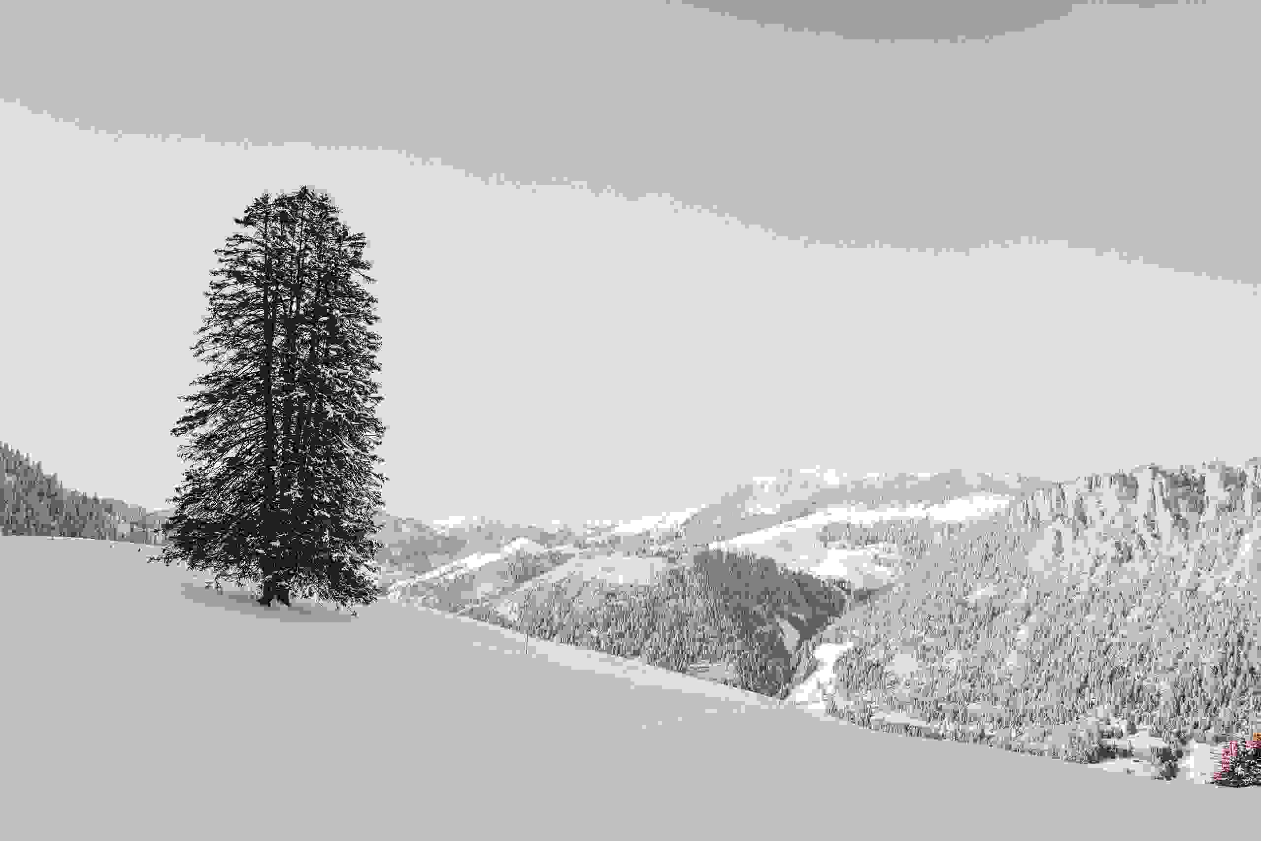 sommerbilder_s3-35 Winteraktivitäten am Wiriehorn