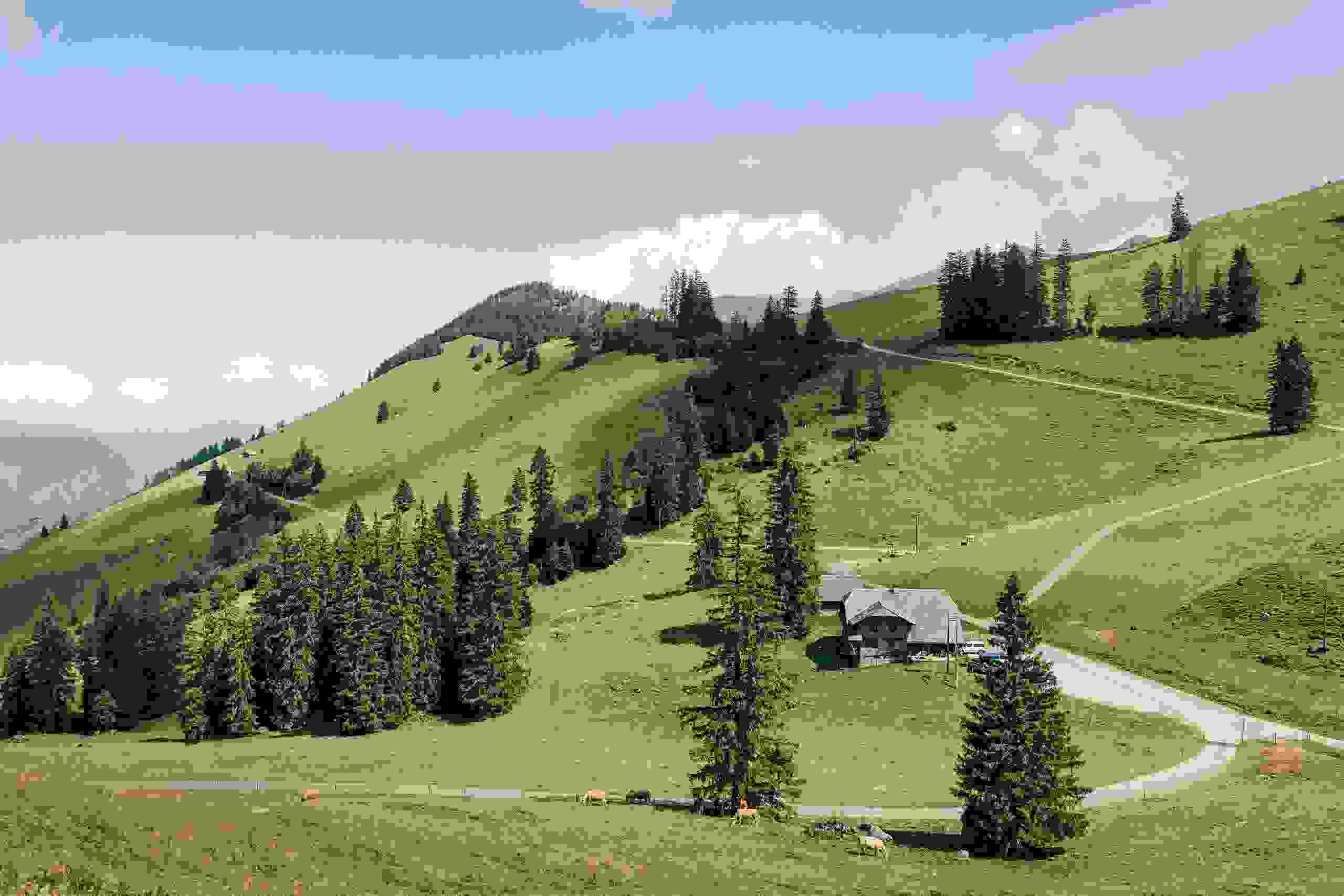 Sommerlandschaft