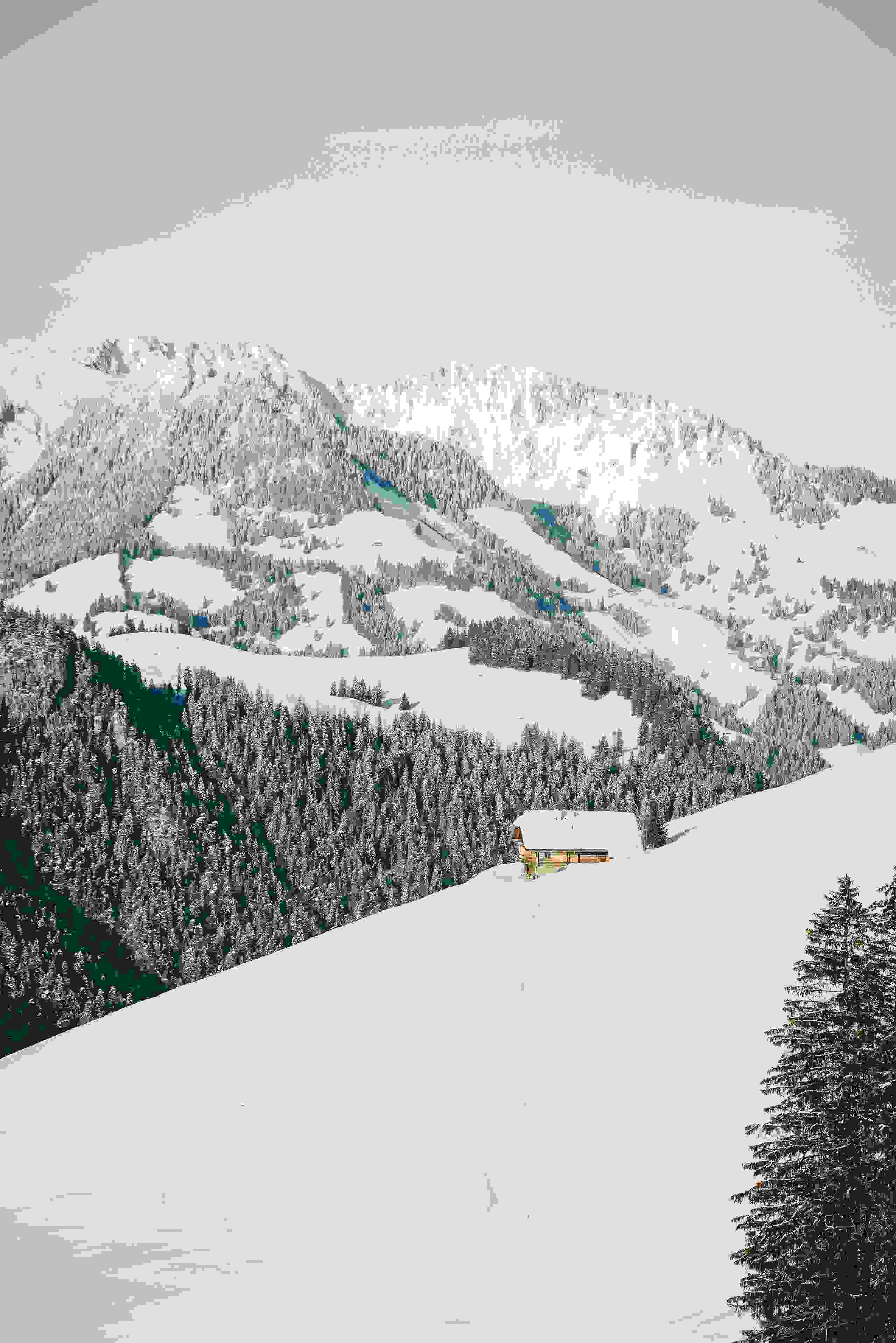 Bergerlebnisse am Wiriehorn Bergerlebnisse am Wiriehorn